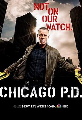 芝加哥警署第五季 海报