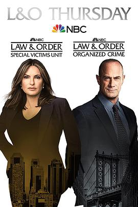 法律与秩序：特殊受害者 第二十三季 海报