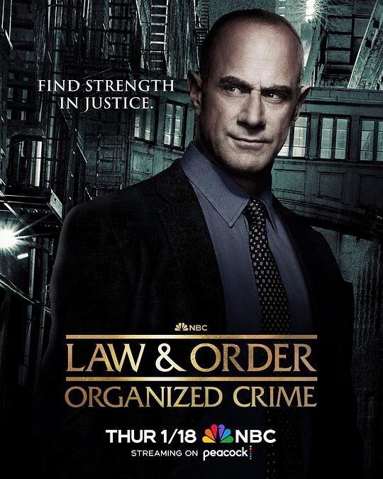法律与秩序：组织犯罪 第四季 海报