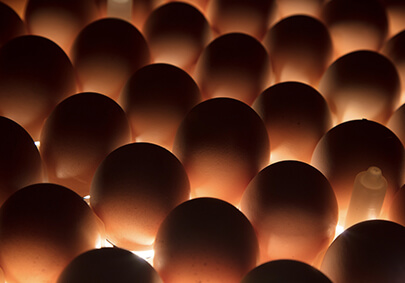 中国·2299威尼斯(股份)有限公司-官方网站