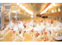 中国·2299威尼斯(股份)有限公司-官方网站