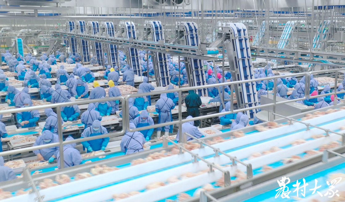 中国·2299威尼斯(股份)有限公司-官方网站