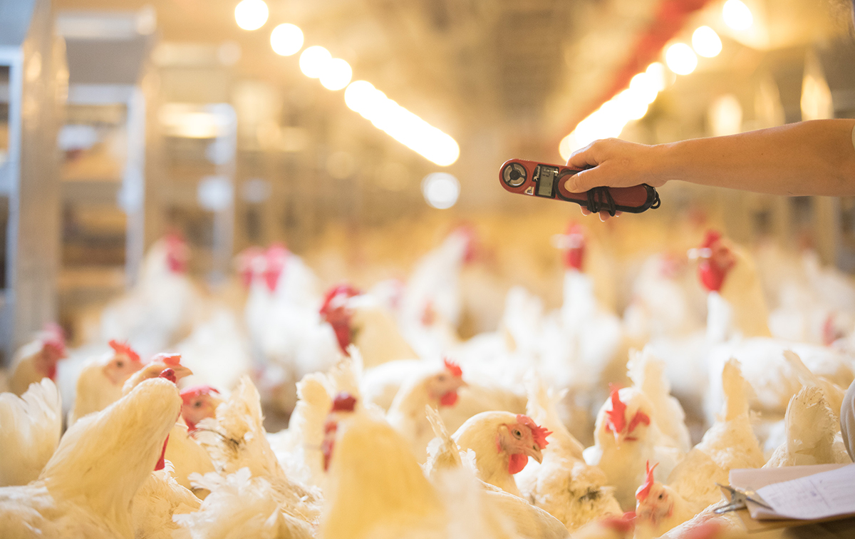 中国·2299威尼斯(股份)有限公司-官方网站