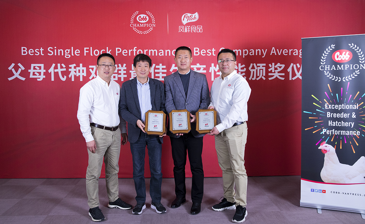 中国·2299威尼斯(股份)有限公司-官方网站